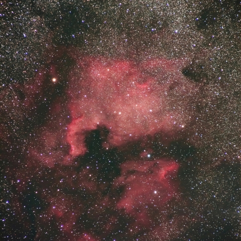 北アメリカ＆ペリカン