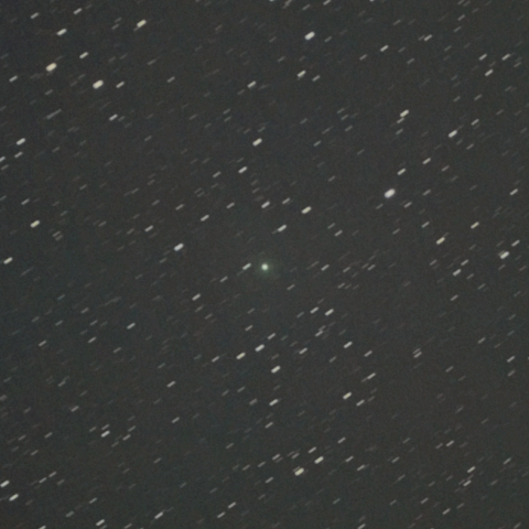 11月3日のポンス･ブルックス彗星（12P）