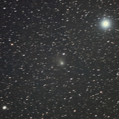 12月8日のポンス･ブルックス彗星（12P）