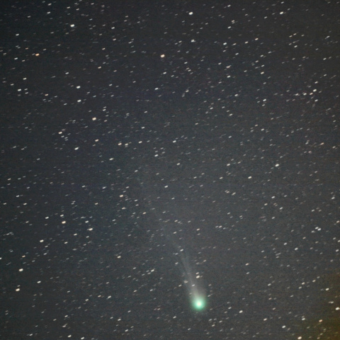 3月9日のポンス･ブルックス彗星（12P）