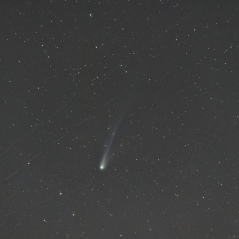 3月29日のポンス･ブルックス彗星（12P）