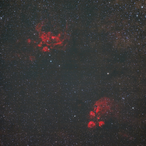 彼岸花星雲と出目金星雲