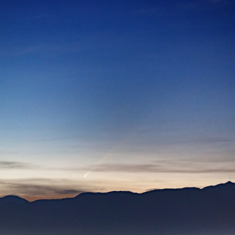 10月1日未明の紫金山-アトラス彗星