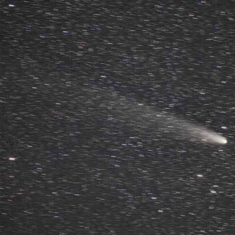 11月3日の紫金山・アトラス彗星