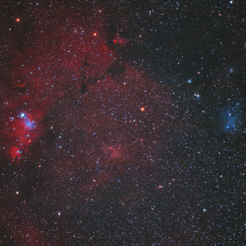 クリスマスツリー星団とかたつむり星雲