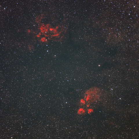 彼岸花星雲と出目金星雲