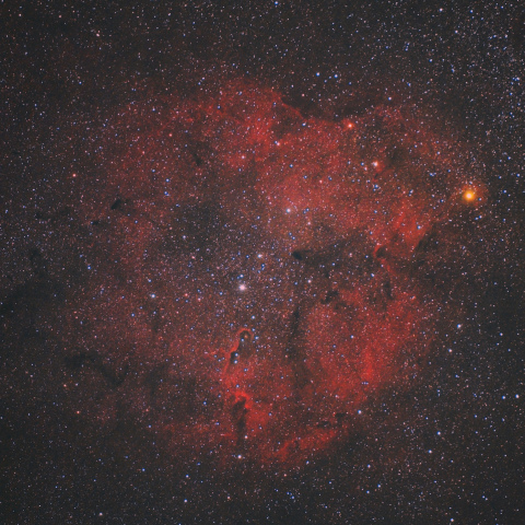 ケフェウス座の散光星雲 IC1396