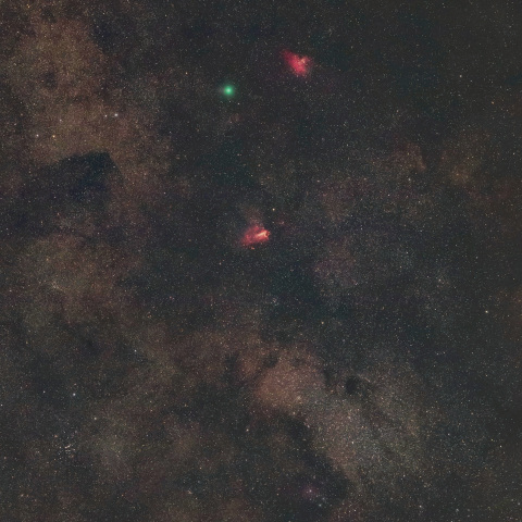 星雲の合間を行くスワン彗星(C/2025 R2)