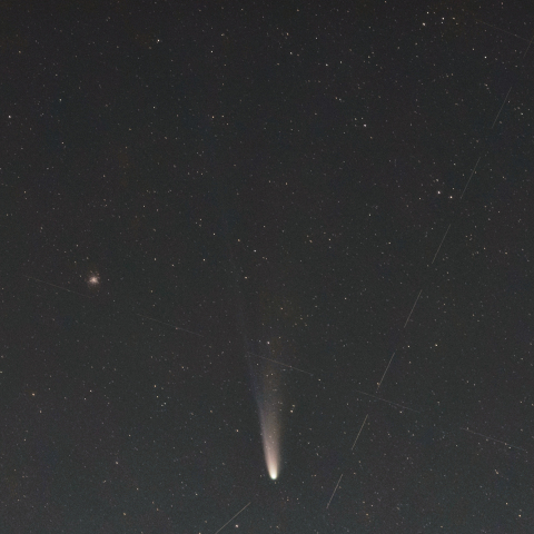 11月3日のレモン彗星（C/2025 A6）