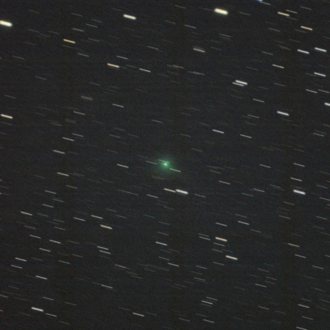 11月22日のスワン彗星（C/2025 R2）