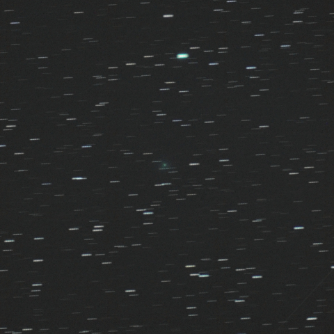 11月23日未明のショーマス彗星（24P）