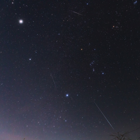 冬の大三角とふたご座流星群