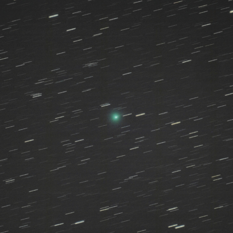 1月18日未明のショーマス彗星（24P）