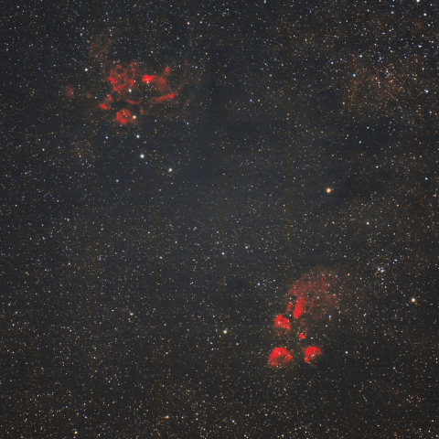 彼岸花星雲と出目金星雲