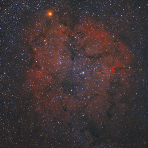 ケフェウス座の散光星雲 IC1396