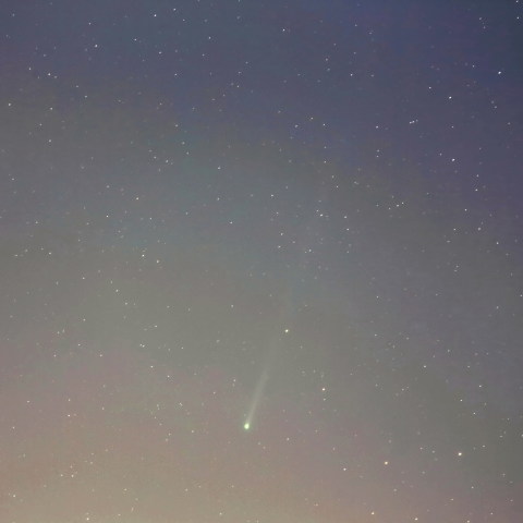 11/17未明のアイソン彗星