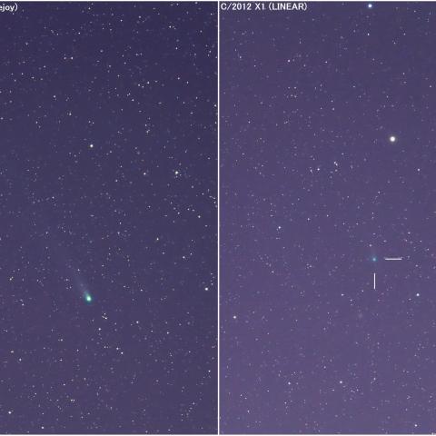 1/12未明の2彗星