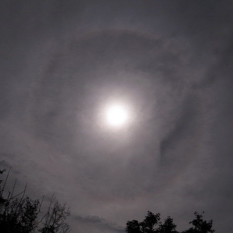 十五夜の月暈