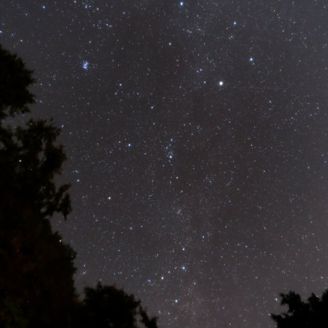 木々の合間に流れる秋の銀河
