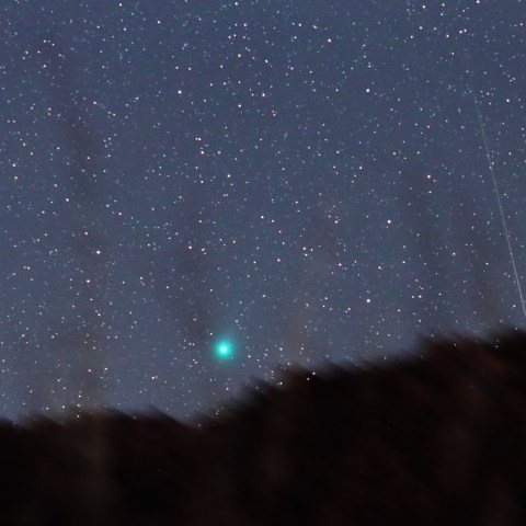 ラブジョイ彗星と流星