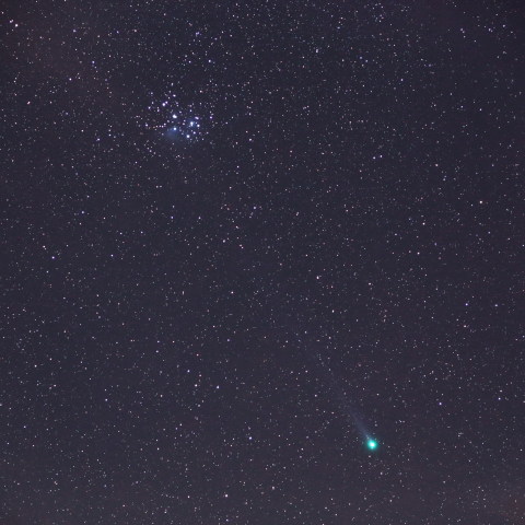 すばる、ラブジョイ彗星とのランデブー