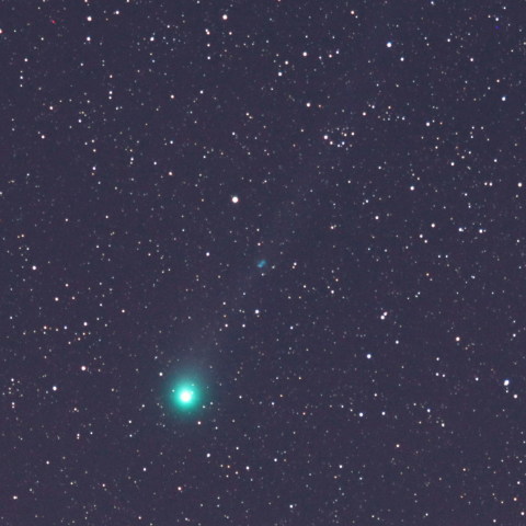 ラブジョイ彗星と小あれい星雲