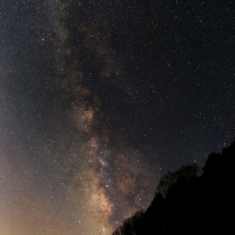 木々の合間に流れ落ちる天の川