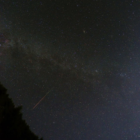 ペルセウス座流星群の流星