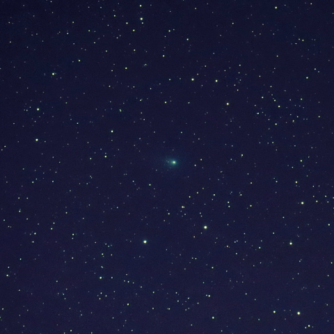 12/20未明のパンスターズ彗星（C/2014 S2）