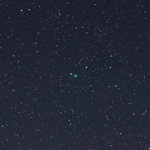 1月9日のパンスターズ彗星（C/2014 S2）