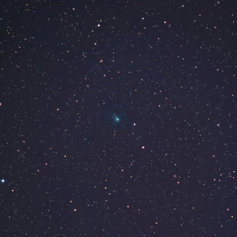 2月9日のパンスターズ彗星