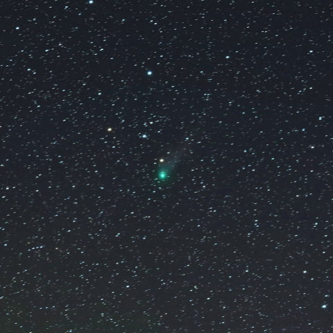 2月9日のカタリナ彗星