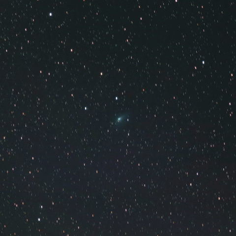 4月5日のパンスターズ彗星