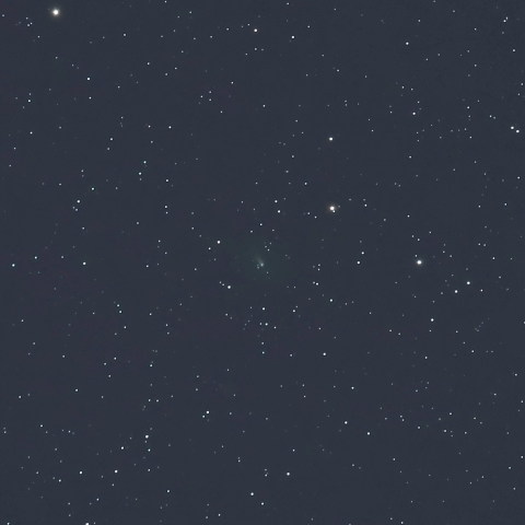 1月28日未明のジョンソン彗星