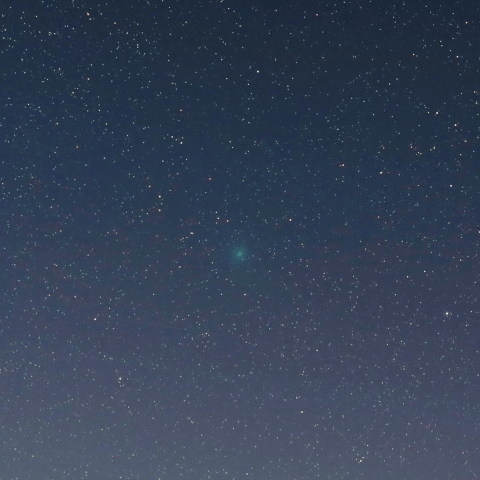 2月4日未明の本田・ムルコス・パイドウシャーコヴァー彗星