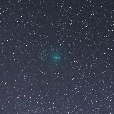 2月8日未明の本田・ムルコス・パイドウシャーコヴァー彗星