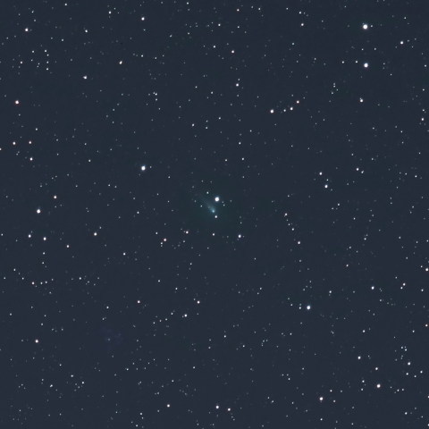 2月26日のジョンソン彗星