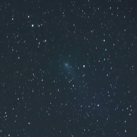 2月26日の本田・ムルコス・パイドウシャーコヴァー彗星