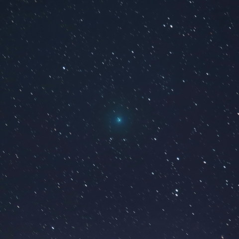 3月19日のタットル・ジャコビニ・クレサーク彗星