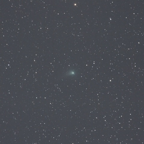 4月30日未明のジョンソン彗星