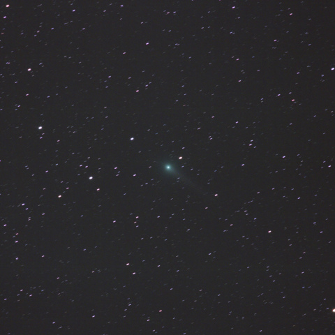 5月29日のジョンソン彗星