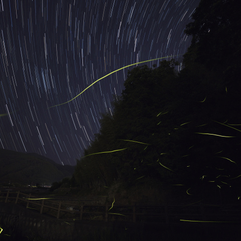 巡る星々の下で