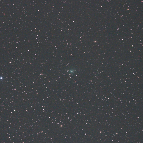 9月3日未明のアサシン彗星