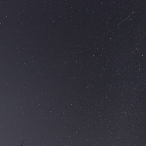 しし座流星群①