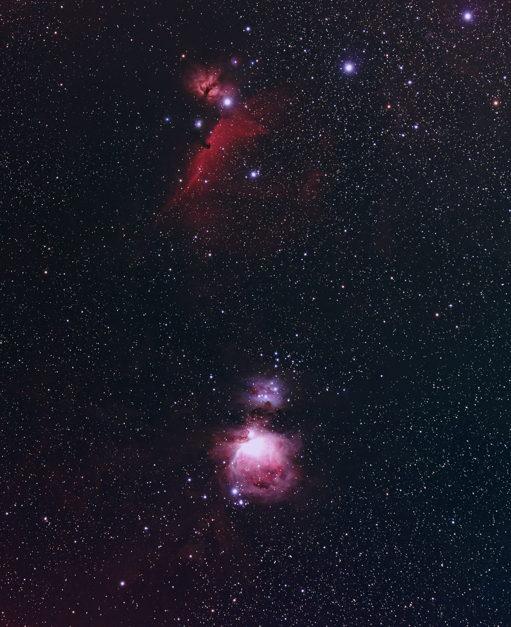 馬頭星雲とオリオン大星雲 By Jfuk2 天体写真ギャラリー