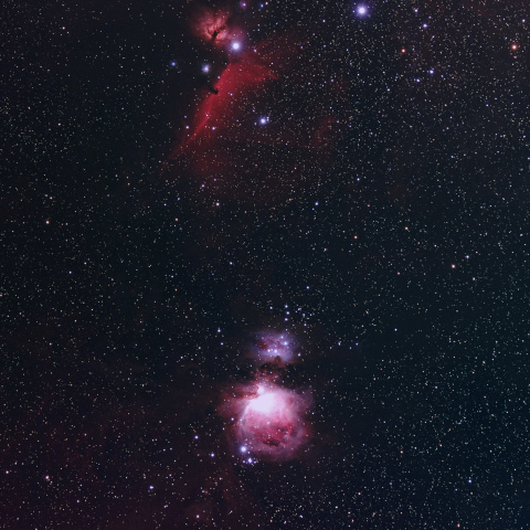 馬頭星雲とオリオン大星雲