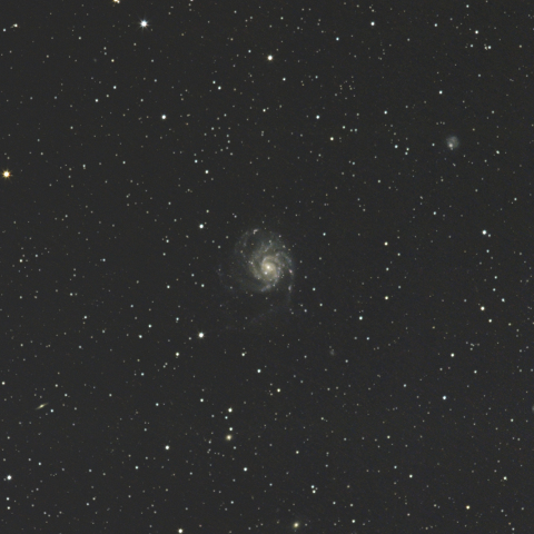 回転花火銀河（M101）
