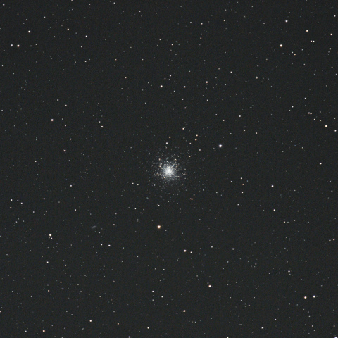 M13