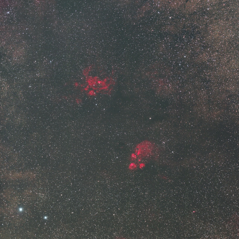 彼岸花星雲と出目金星雲