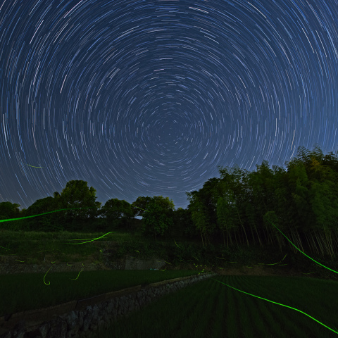 北天の星々の下で